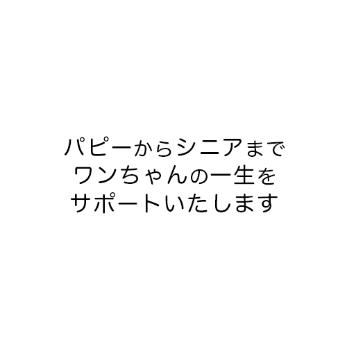 パピーからシニアまでワンちゃんの一生をサポートいたします